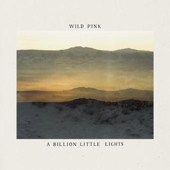 Vinyl A Billion Little Lights (LP) Book