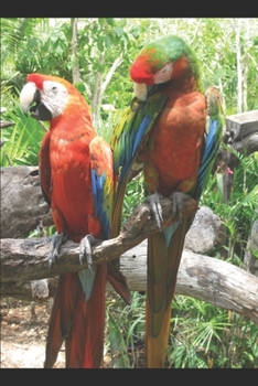 Paperback World Birds Atlas: An Introduction to Birds world Book