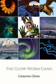 Paperback The Glow Worm Gang Book