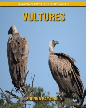 Vultures: Amazing Pictures and Facts