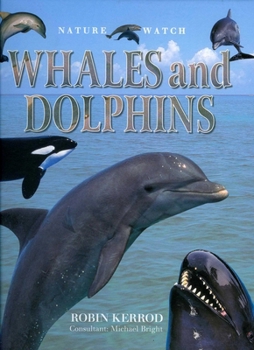 Hardcover Nature Watch: Whales & Dolphins Book