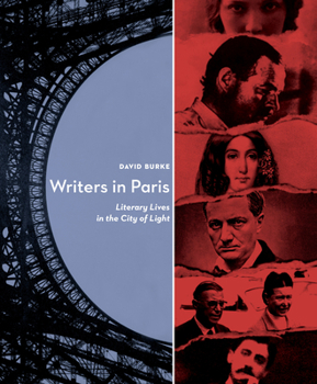 Hardcover Writers in Paris: Literary Lives in the City of Light Book