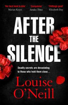 Paperback After the Silence: The An Post Irish Crime Novel of the Year Book