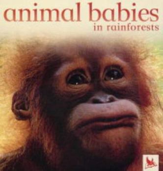 Hardcover Animal Babies in Rainforests Book