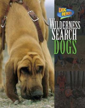Wilderness Search Dogs (Dog Heroes) - Book  of the Dog Heroes