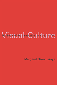 Paperback Visual Culture: The Study of the Visual After the Cultural Turn Book