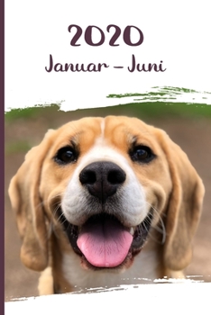 Kalender 2020: Beagle Hunde Tageskalender 1. Halbjahr Januar Juni ca DIN A5 weiß über 190 Seiten (German Edition)