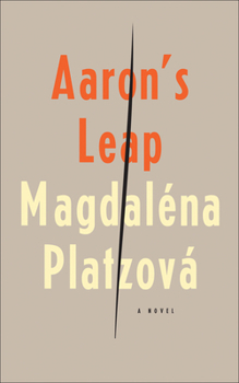 Paperback Aaron's Leap Book