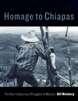 Paperback Homage to Chiapas: The New Indigenous Struggles in Mexico Book