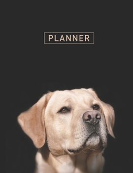 Paperback Planner: LabradorAnime & Chill 2 Year Monthly Planner with Note Pages (24 Months) - Jan 2020 - Dec 2021 - Month Planning - Appo Book