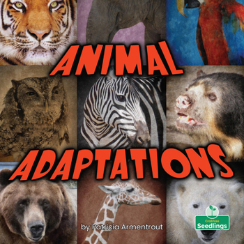 Paperback Animal Adaptations Book