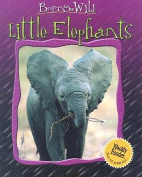 Library Binding Little Elephants Book
