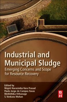 Paperback Industrial and Municipal Sludge: Emerging Concerns and Scope for Resource Recovery Book