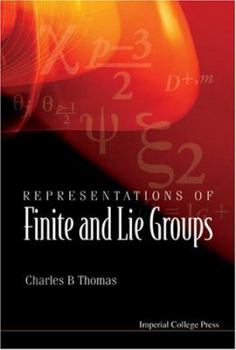 Paperback Representations of Finite and Lie Groups Book