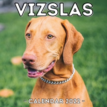 Paperback Vizslas Calendar 2022: 16-Month Calendar, Cute Gift Idea For Vizsla Lovers Men And Women Book