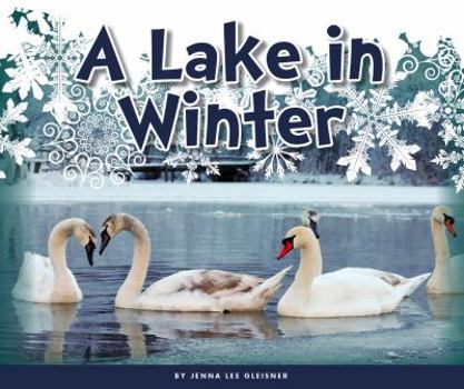 Library Binding A Lake in Winter Book