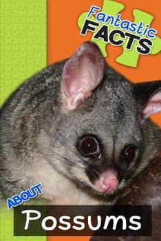 Paperback Fantastic Facts about Possums: Illustrated Fun Learning for Kids Book