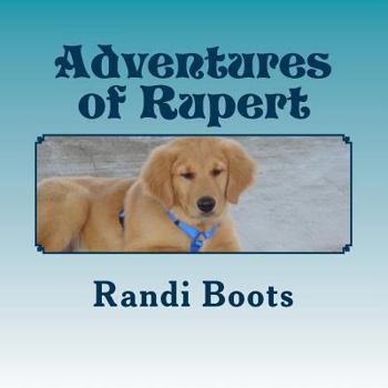 Paperback Adventures of Rupert: Roo's New Day Book