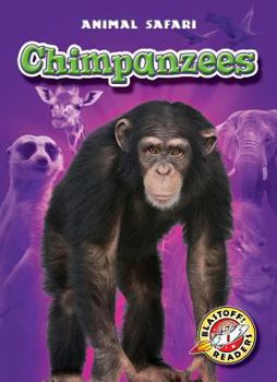 Library Binding Chimpanzees Book