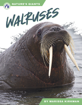 Paperback Walruses Book