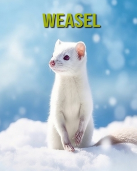 Paperback Weasel: Fun and Educational Book for Kids with Amazing Facts and Pictures Book