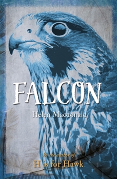 Falcon (Reaktion Books - Animal) - Book  of the Animal Series