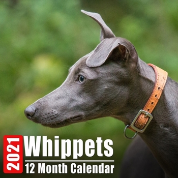 Paperback Calendar 2021 Whippets: Cute Whippet Photos Monthly Mini Calendar With Inspirational Quotes each Month Book