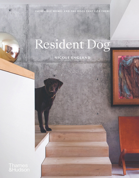 Hardcover Resident Dog (Compact): Incredible Homes and the Dogs That Live There Book