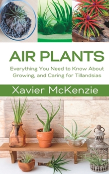 Paperback Air Plants: Everything You Need to Know About Growing, and Caring for Tillandsias Book