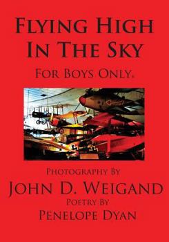 Paperback Flying High In The Sky---For Boys Only Book
