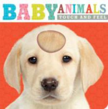 Board book Baby Animals: Touch and Feel (Learning Range) Book