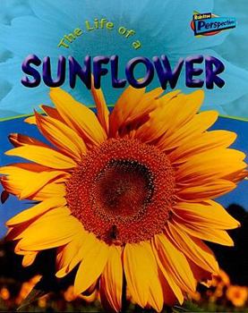 Paperback Life Of A Sunflower (Life Cycles) Book