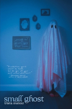 Paperback Small Ghost Book