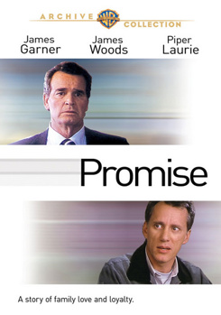 DVD Promise Book