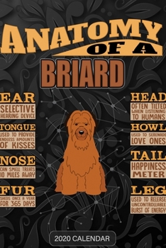 Paperback Anatomy Of A Briard: Briard 2020 Calendar - Customized Gift For Briard Dog Owner Book