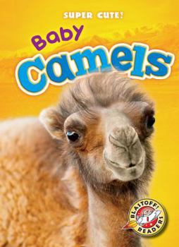 Baby Camels - Book  of the Super Cute!