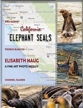 Paperback California Elephant Seals Book