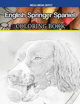 English Springer Spaniel Coloring Book