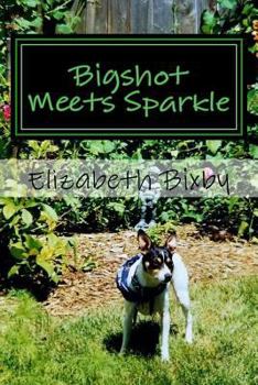 Paperback Bigshot Meets Sparkle Book
