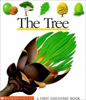 Hardcover The Tree Book