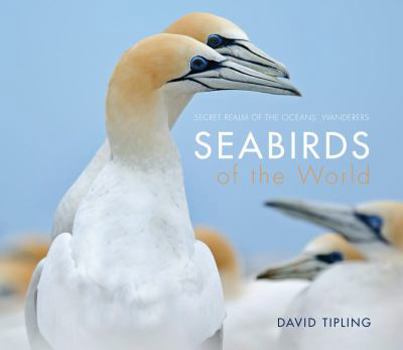 Hardcover Seabirds of the World: Secret Realm of the Oceans' Wanderers Book