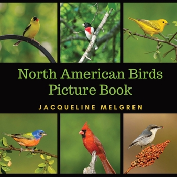 Paperback North American Birds Picture Book: Dementia Activities for Seniors (30 Premium Pictures on 70lb Paper With Names) [Large Print] Book