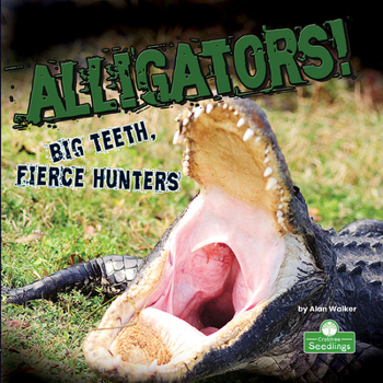Library Binding Alligators! Big Teeth, Fierce Hunters Book