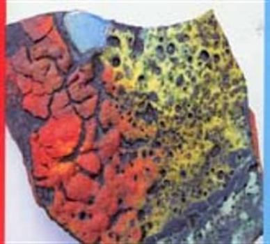 Paperback Of Colour in Craft Book