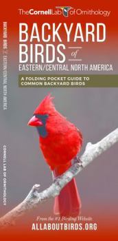 Paperback Backyard Birds of Eastern/Central North America: A Folding Pocket Guide to Common Backyard Birds Book