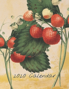 Paperback 2020 Calendar: Monthly 2020 Fruit Illustrated Calendar With Large Images and Calendar Dates, Spaces to Record Income, Expenses, Impor Book