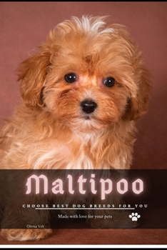 Paperback Maltipoo: Choose best dog breeds for you Book