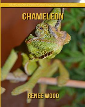 Paperback Chameleon: Beautiful Pictures & Interesting Facts Children Book about Chameleon Book