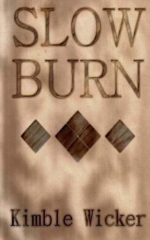 Paperback Slow Burn Book