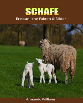 Paperback Schafe: Erstaunliche Fakten & Bilder [German] Book